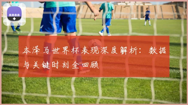 本泽马世界杯表现深度解析：数据与关键时刻全回顾