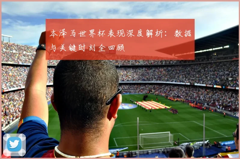 本泽马世界杯表现深度解析:数据与关键时刻全回顾
